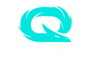 Qlash